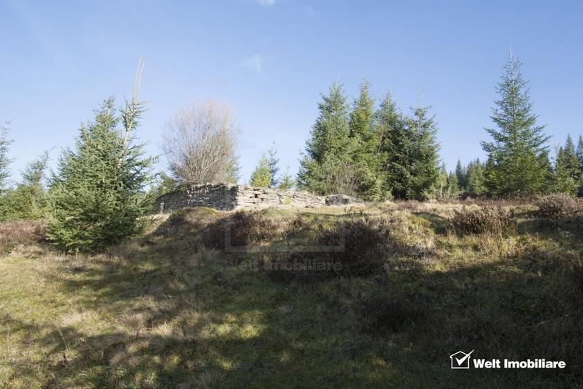 Se vinde teren cat un munte in Apuseni - Poiana Horea - 6