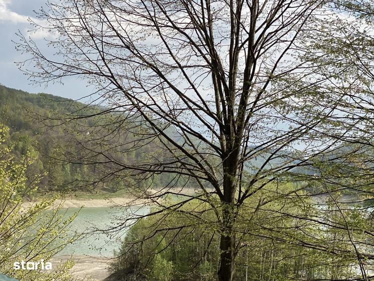 Teren plat, cu deschidere la lacul Paltinu, acces facil - 1