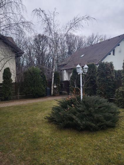 Vand vila P+1 Platou Gavana - 3