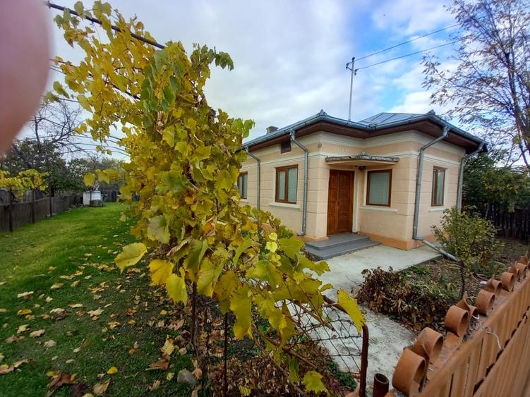 Casă de vânzare - jud. Buzău, Sat Lanurile, com. Ziduri - 5