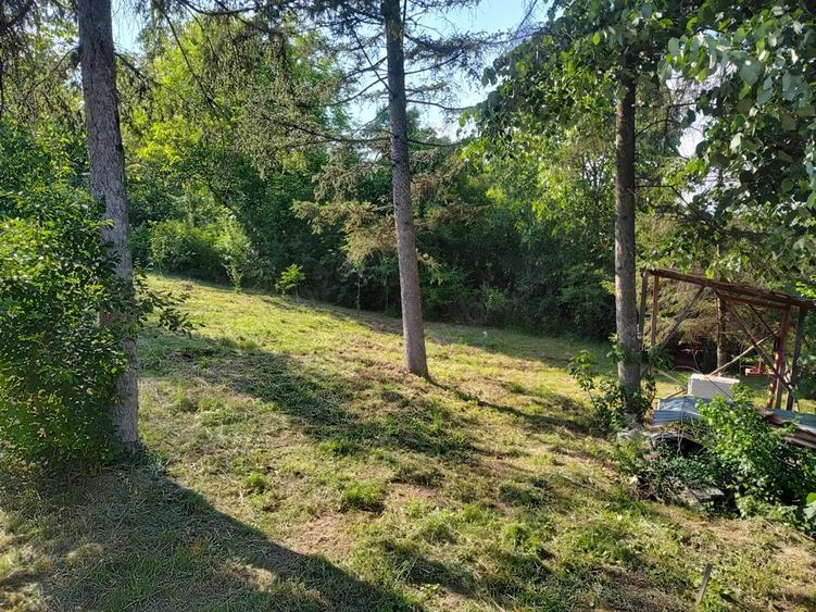 Casa batraneasca cu teren in sat Schitu Scoicesti, com Leordeni, Arge? - 7