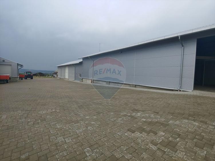 Depozit refrigerare de 292mp Dumbraveni, Suceava - 3