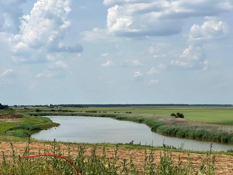 Teren Frumusani | RATE 24 LUNI | Utilitati | Investitie | D.N. 4 - 6