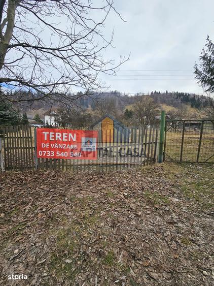 Teren intravilan in Moeciu de jos Vedere panoramica Piatra Craiului - 1