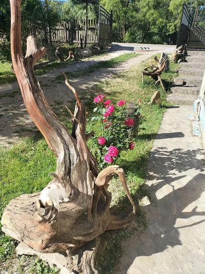 Casa cu Casu?a la Vatra Dornei mobilate ?i utilate ?i plata in rate - 5