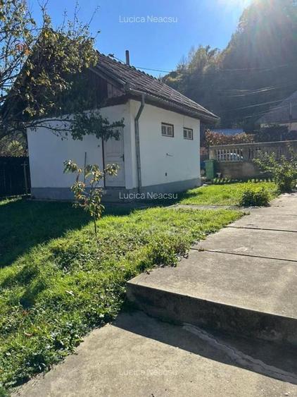 Direct proprietar, vand casa in orasel de munte, Brezoi, jud. Valcea - 7