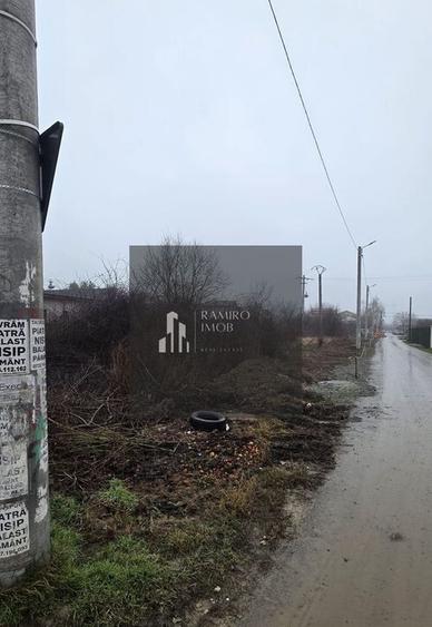 2 loturi 1000 mp Strada Pinului - 1 Decembrie - 5