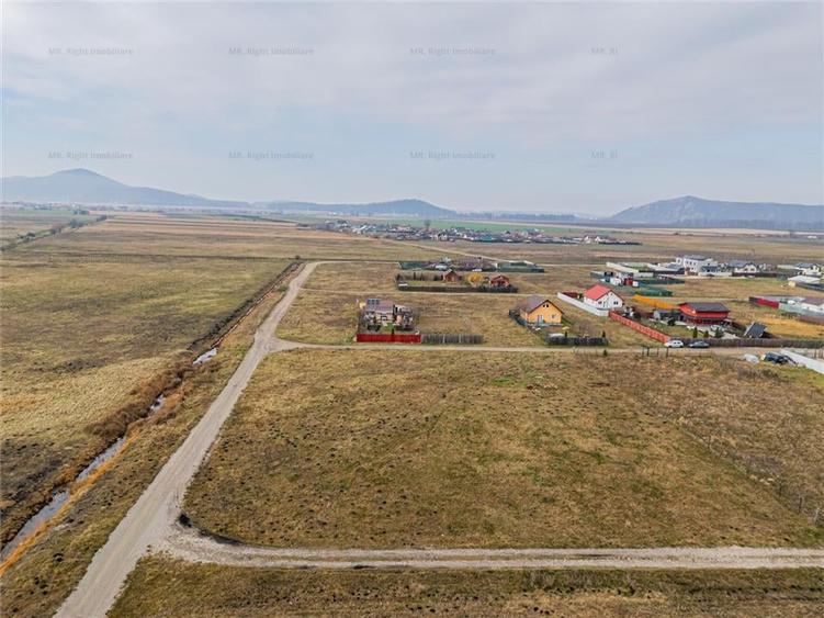 Teren 1000 mp Harman - 4