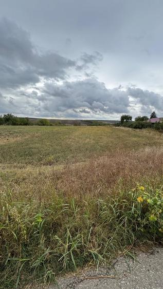 Parcul National Comana, Sat Vlad Tepes, Comuna Comana, jud.Giurgiu - 10