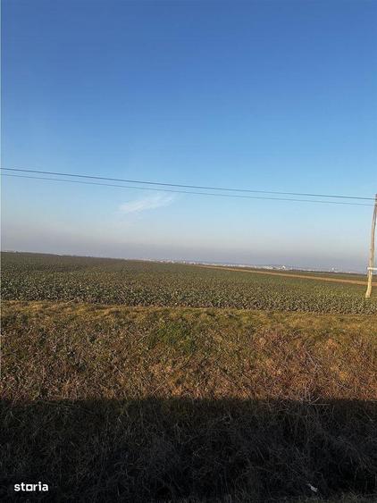 Teren Industrial Oradea spre Livada - 3