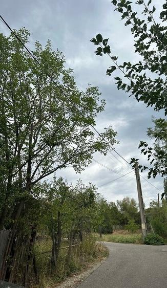 Stefanesti-sat Viișoara, Argeș, teren intravilan racordat la toate utilitățile - 10