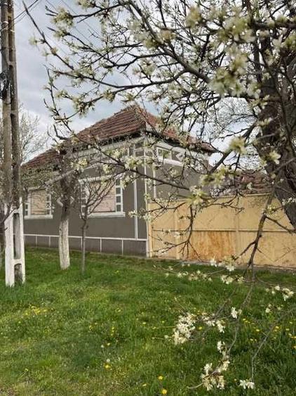 Casa/Teren de vanzare, Livada, jud. Arad - 8