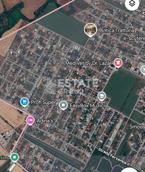 Teren Dumbravita - 2