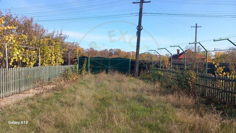 0% COMISION!!! CASA CU LAC IN INIMA PADURII  - DEALU BRADULUI - 16