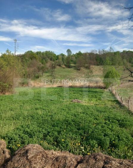 Teren intravilan/extravilan