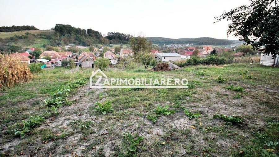 De vanzare 2 case cu 4.900 mp teren, Livezeni 0% comision - 3