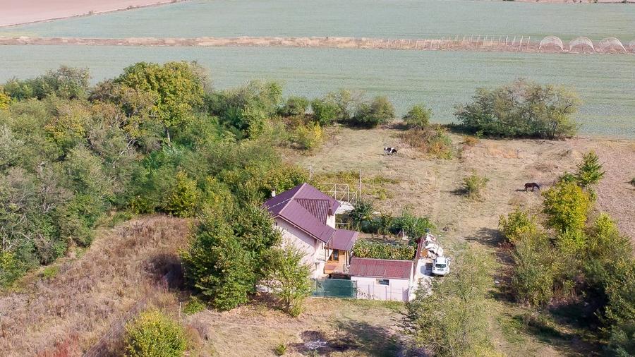 Teren intravilan Ilfov, Petrachioaia, la 3 minute STB Biserica Vanatori - 15