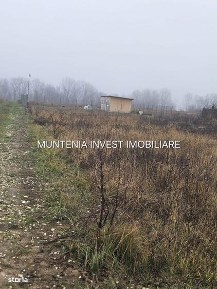 De vanzare 935 mp. intravilan, Mosoaia - 2