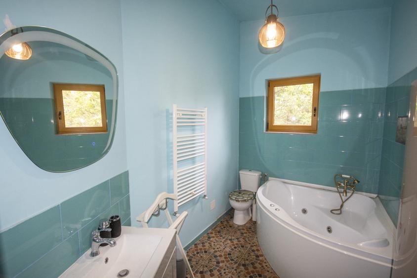 Inchiriere vila cu personalitate zona Tudor Vladimirescu - 13