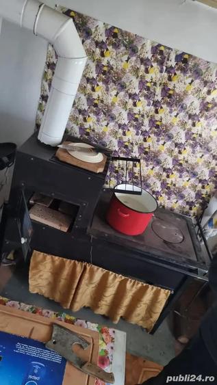 A 13. 20000 mp teren ?i 3 constructii casa in judetul Bacau - 17