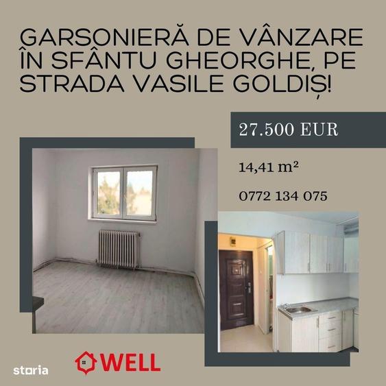 Garsoniera de vanzare in Sfantu Gheorghe, pe strada Vasile Goldi?! - 10
