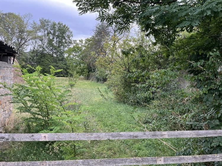 Teren intravilan 2.500 mp Buciumeni, Dambovita - 5