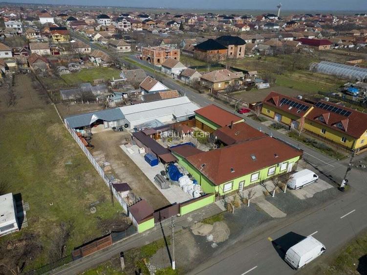 Proprietate cu poten?ial multiplu, Curtici