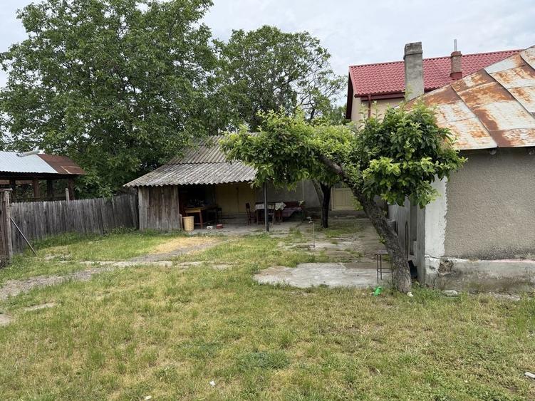 Casa de vanzare in Campineanca 722 m2, toate utilitatile - 9