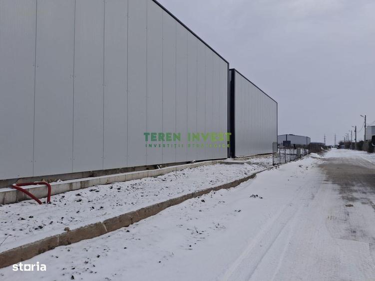 Vanzare hala depozitare - Drumul Intre Tarlale - 10