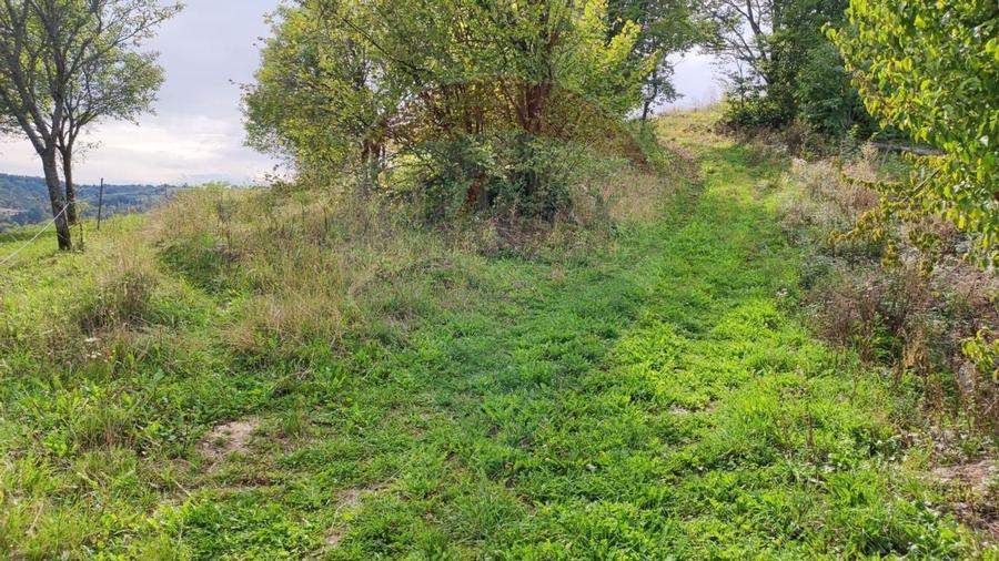 Teren constructii si faneata/livada 3082 mp Damis Bratca drum DJ 764D - 14