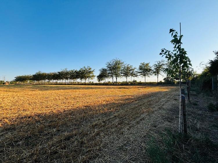 Strada Brebenei 1, Lilieci, Ialomita - 1