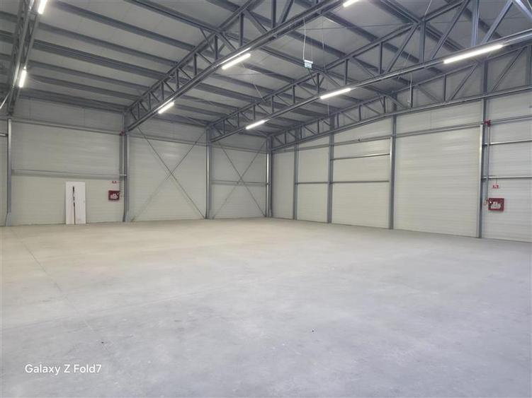 Vanzare depozit/hala/spatiu industrial Mogosoaia - Buftea - 48