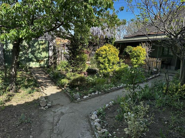 Casa in Ghioroc jud Arad - 6