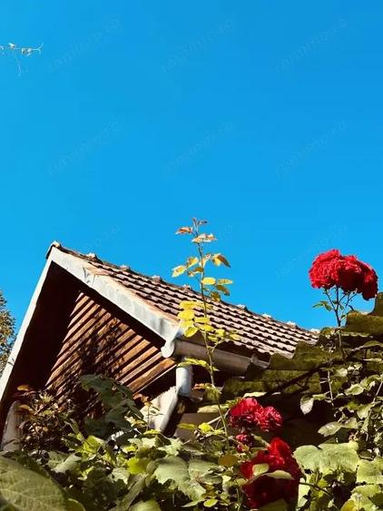 Casa de vacanta - Dognecea, CS - Teren 719 mp | Comision 0% - 6