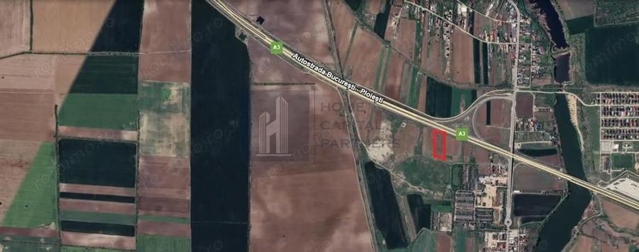 Teren 2727mp | Moara Vlasiei, Caciulati | A3 - 2