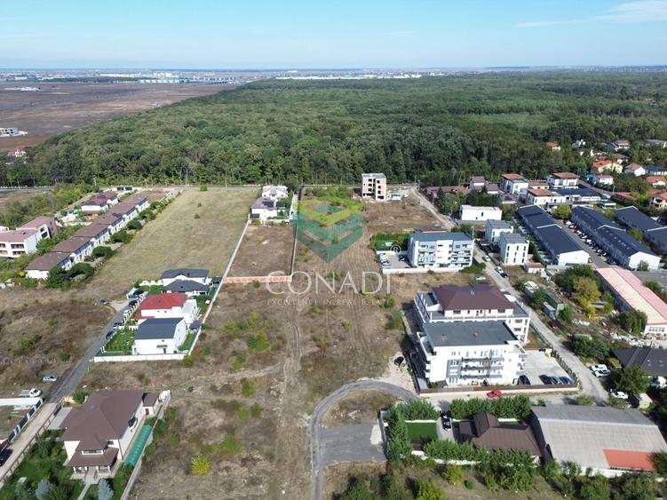 Teren - Voluntari - vis a vis de Padure - 10.000 mp - 3