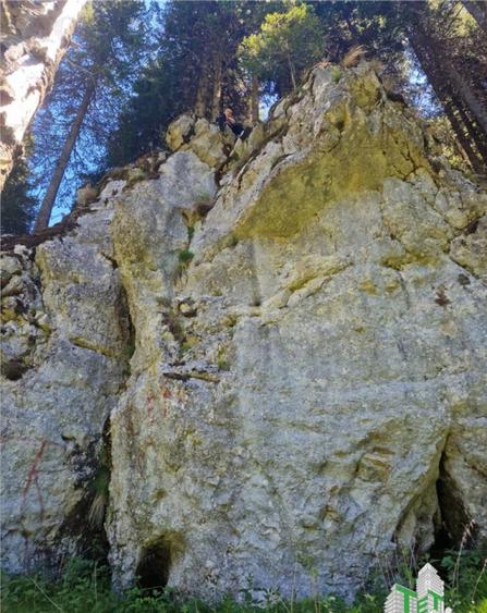 Teren intravilan de in Dambovita / Padina/ Muntii Bucegi - 2