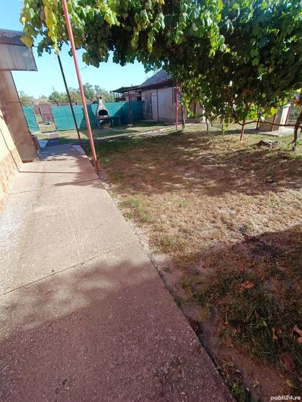 Vand sau schimb cu apartament casa caramida+ vaiuga + teren pentru casa in com. Livezile jud.Timi?. - 6