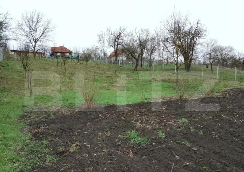 Teren intravilan de vanzare in Calarasi langa Turda! - 7