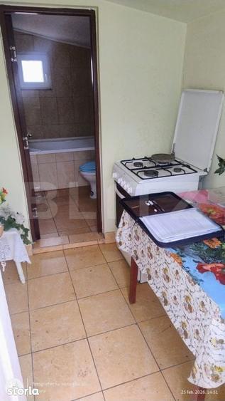 Oportunitate investitionala Casa cu teren extins in Comuna Geaca - 13