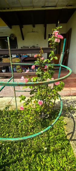 Casa Breaza , zona centrala , 500mp teren drept ,toate utilitatile - 21