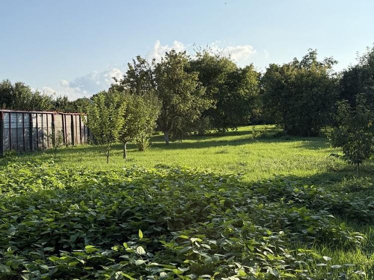 Spațiu comercial, în Titulescu