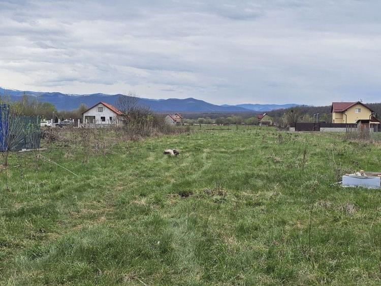 Teren Construcții intravilan de 520 mp, în Terezian
