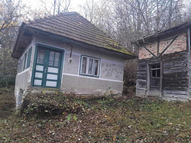 Casă cu 2 camere în Plai
