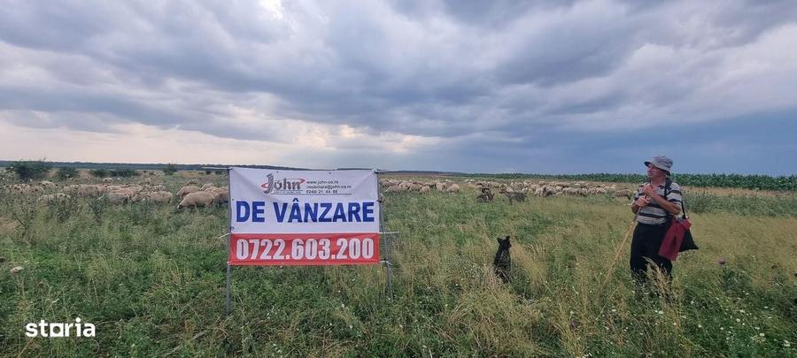 Spațiu comercial, în Furduești
