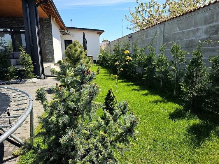 Casă cu 4 camere cu Teren 800 Mp în Noua