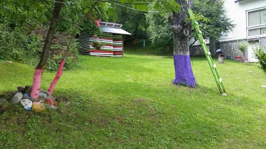 Casă cu Teren 4000 Mp în Central