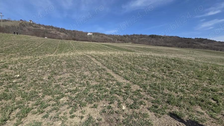 Teren de 600 mp, în Central