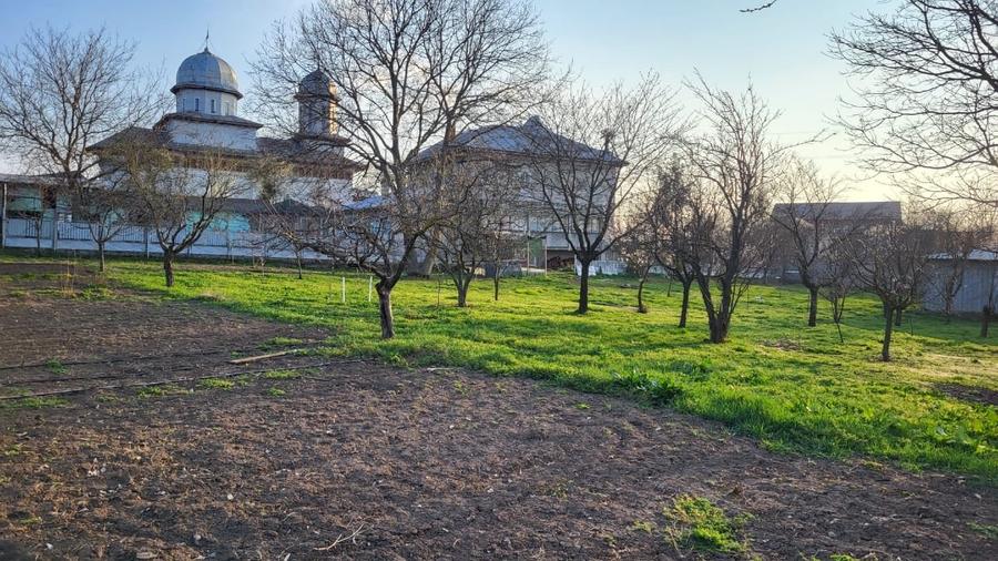 Teren Construcții intravilan de 3073 mp, în Dascălu