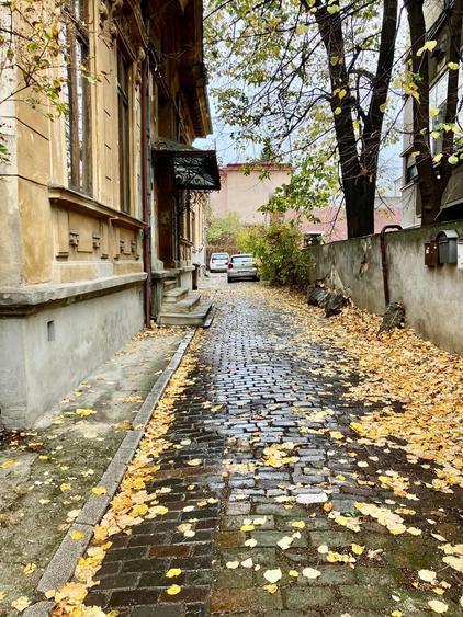 Piata Romana - in casa interbelica- pet friendly-  ASE - 10